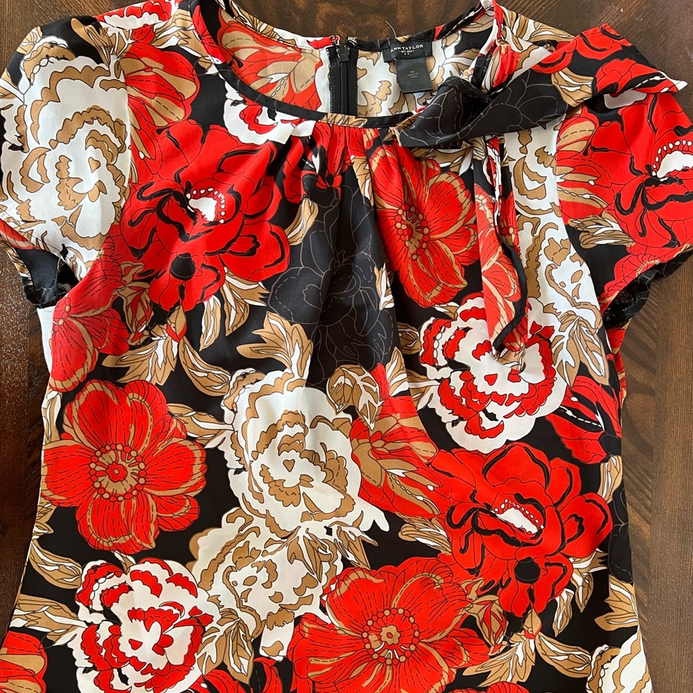 Ann Taylor top M